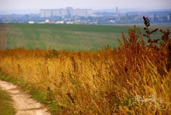 Фотовиставка Тетяни Должко